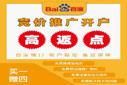 百度推广排名案例解读：旅游行业如何运用其扩大影响力